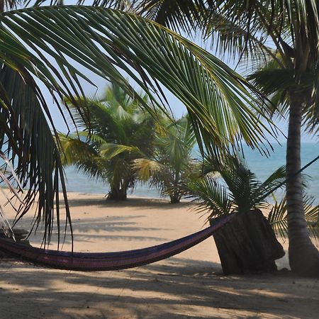 Sabal Beach Hotel Monkey River Town Buitenkant foto