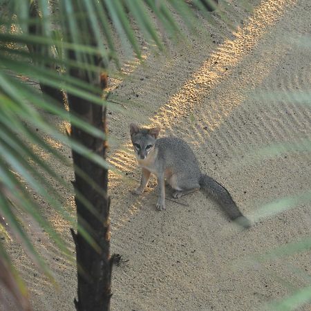 Sabal Beach Hotel Monkey River Town Buitenkant foto