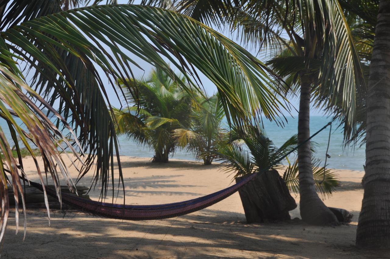 Sabal Beach Hotel Monkey River Town Buitenkant foto