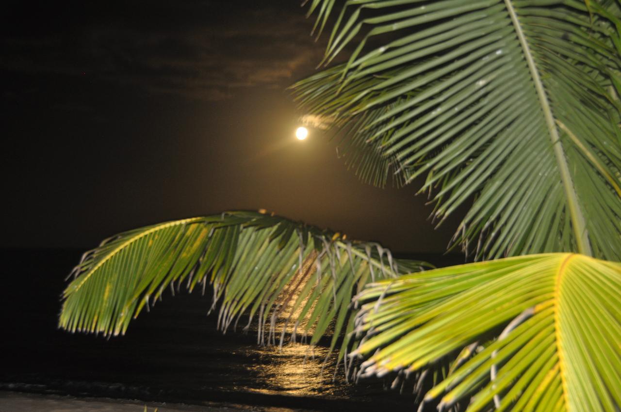Sabal Beach Hotel Monkey River Town Buitenkant foto
