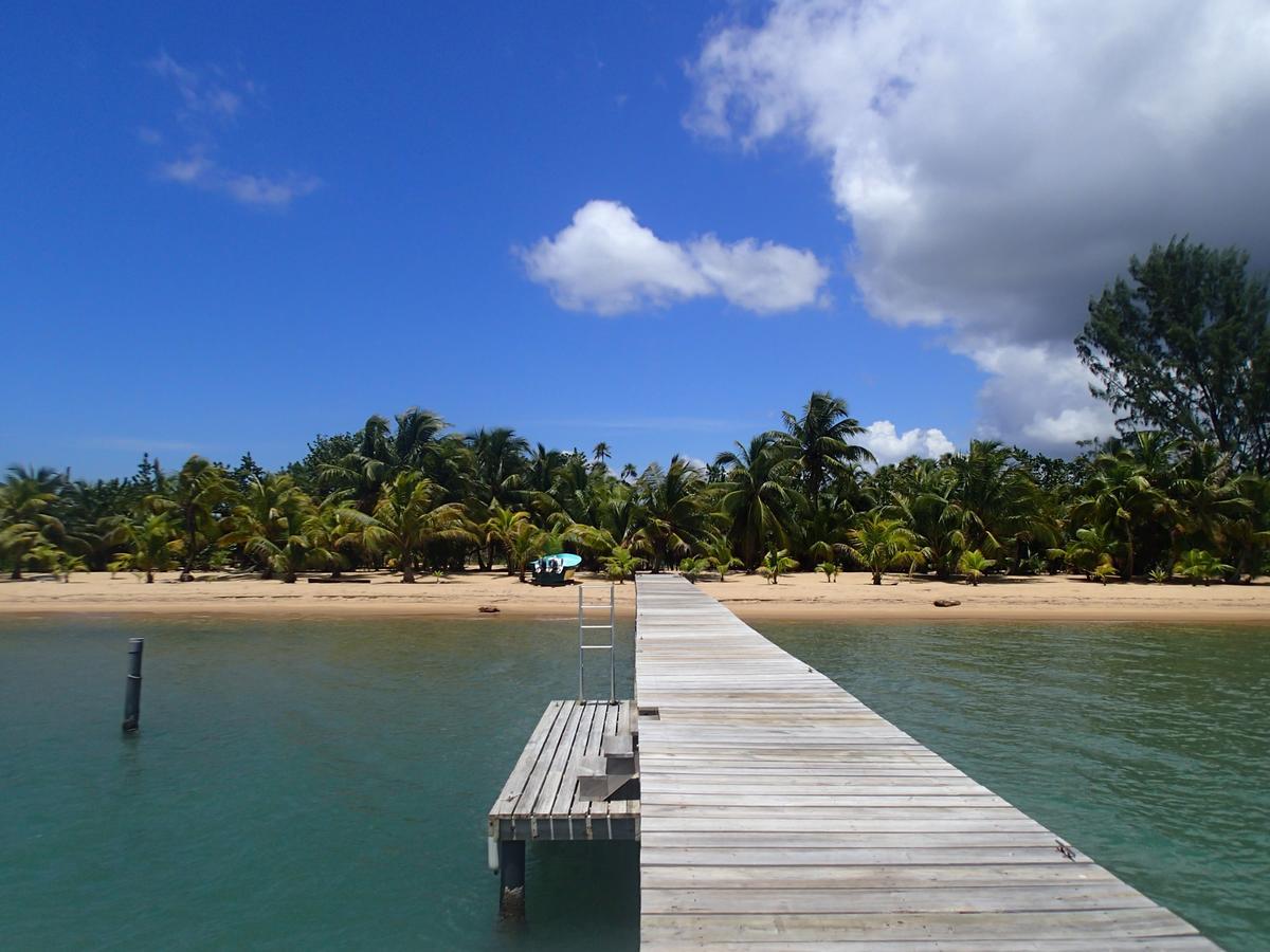 Sabal Beach Hotel Monkey River Town Buitenkant foto