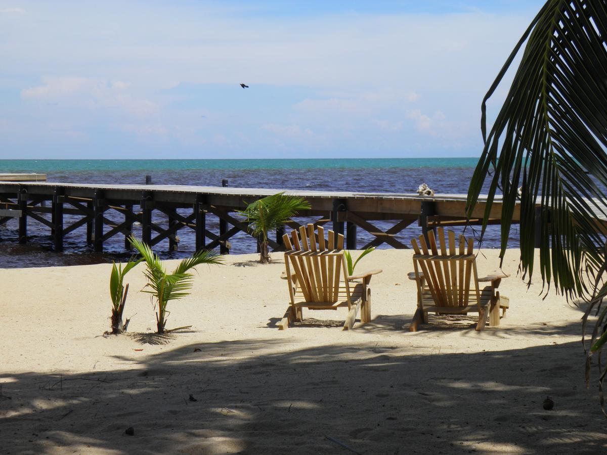 Sabal Beach Hotel Monkey River Town Buitenkant foto