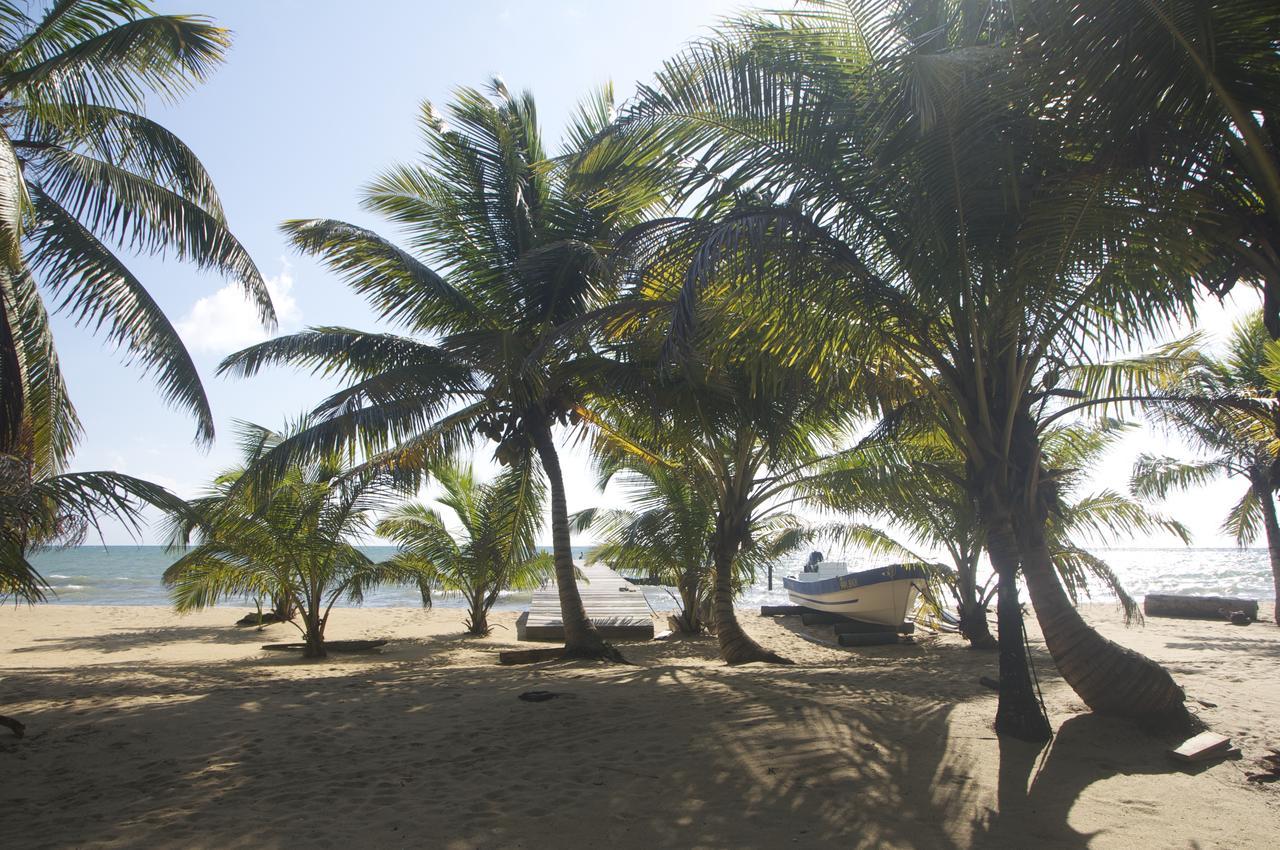 Sabal Beach Hotel Monkey River Town Buitenkant foto