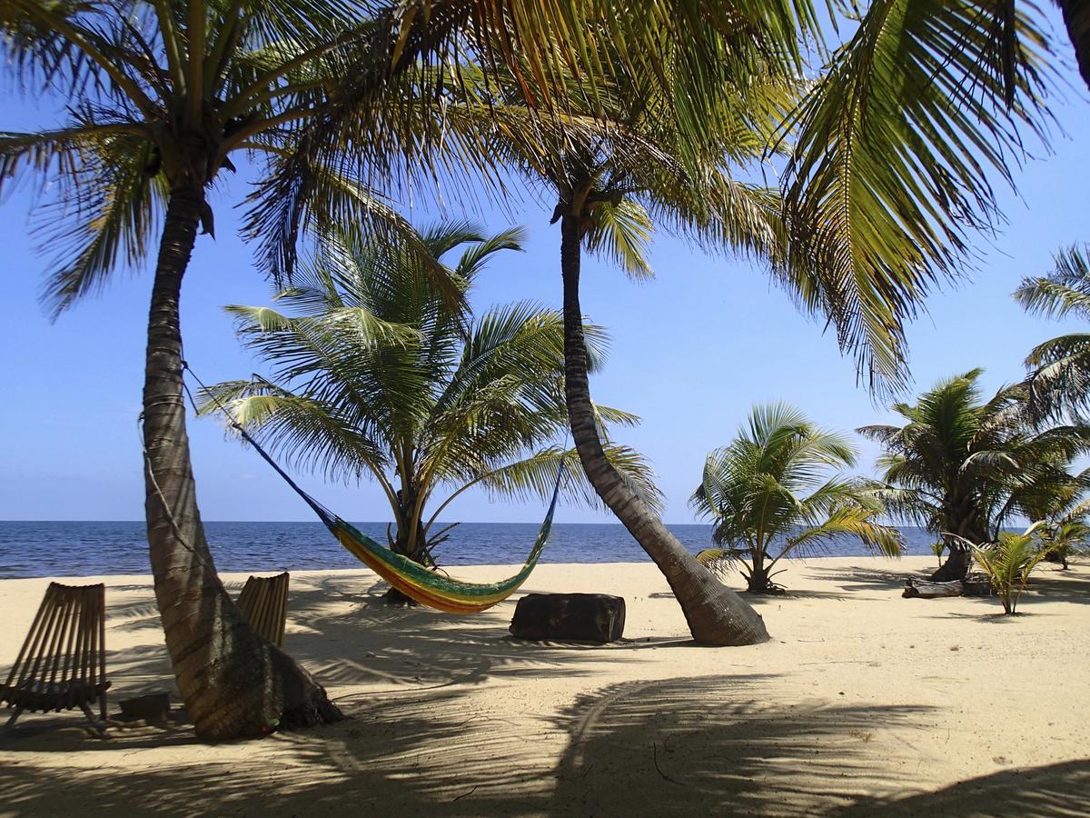 Sabal Beach Hotel Monkey River Town Buitenkant foto